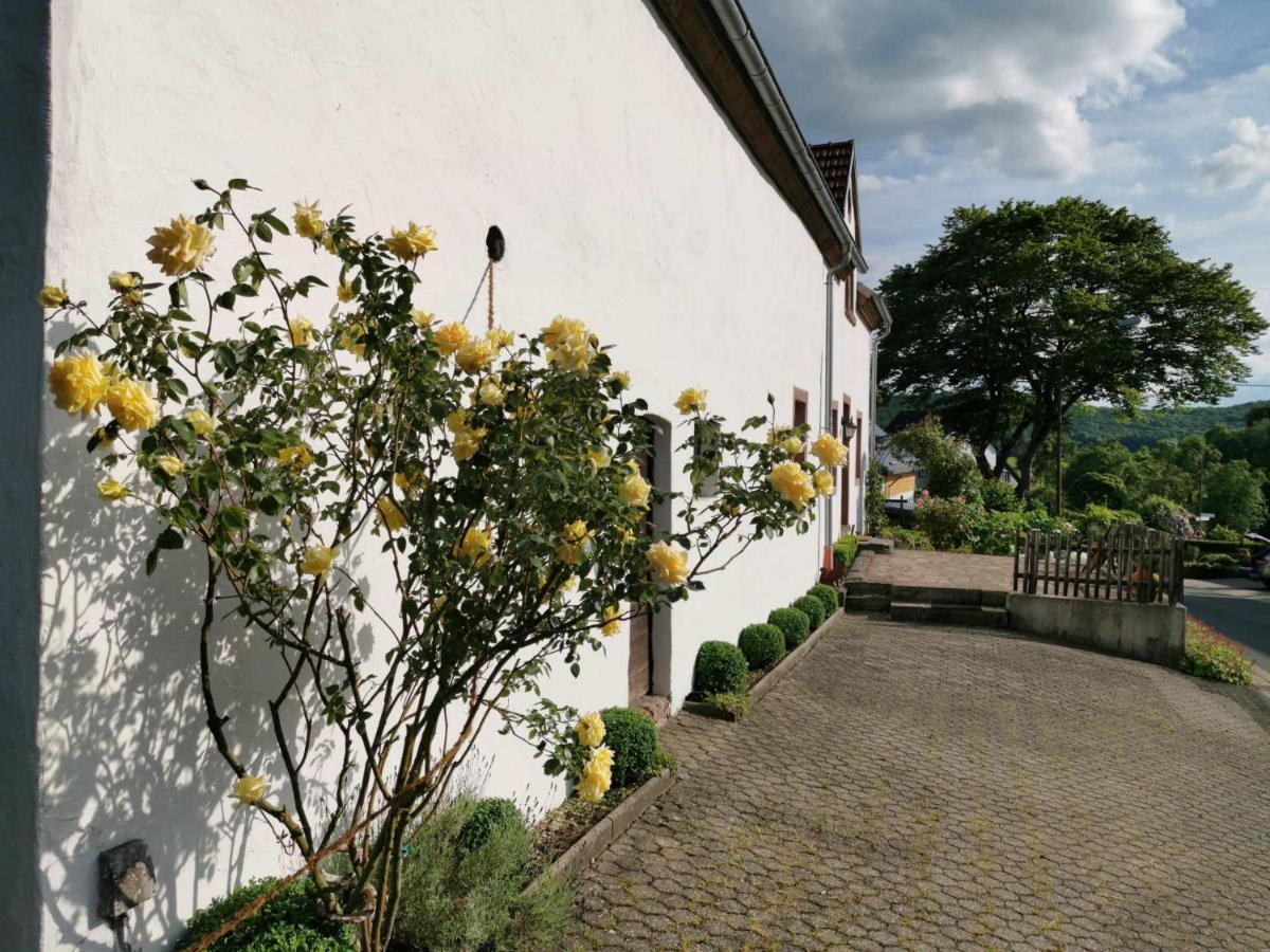 Ferienhaus Vulkaneifel Landhaus Loogh Kerpen  Exteriér fotografie