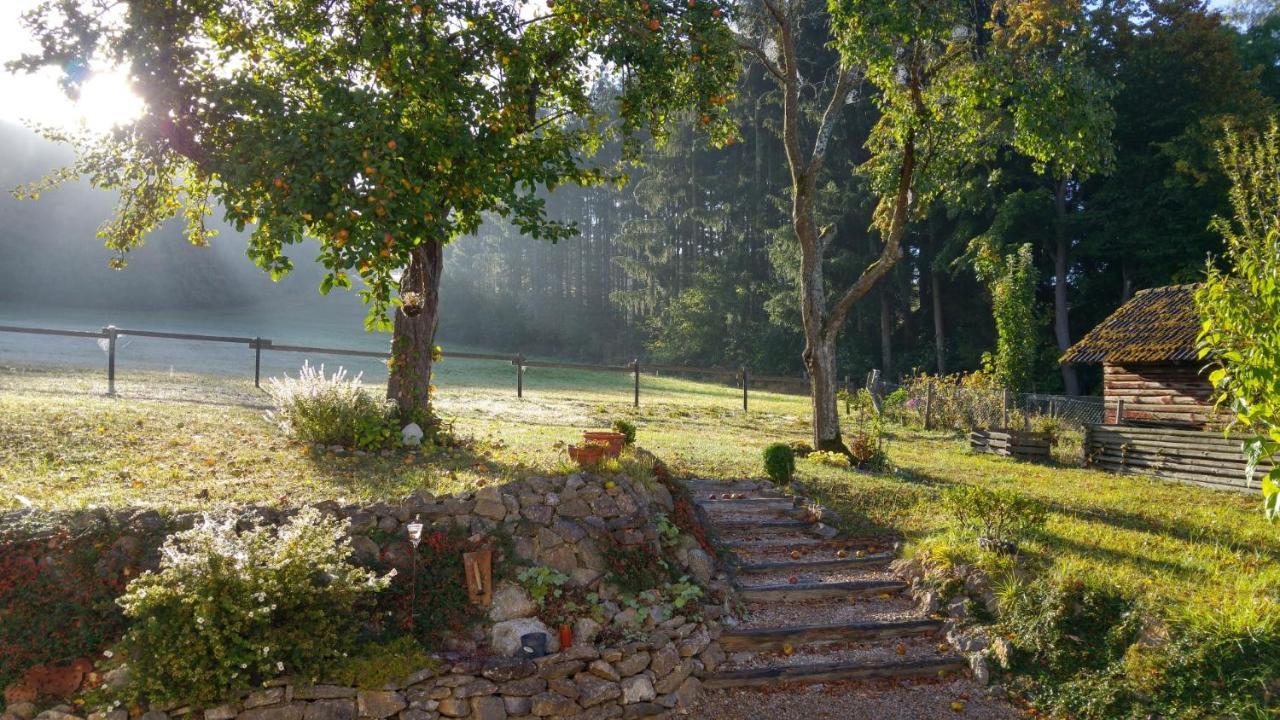 Ferienhaus Vulkaneifel Landhaus Loogh Kerpen  Exteriér fotografie