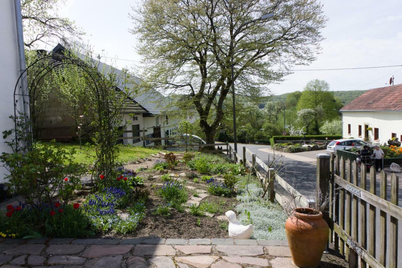 Ferienhaus Vulkaneifel Landhaus Loogh Kerpen  Exteriér fotografie