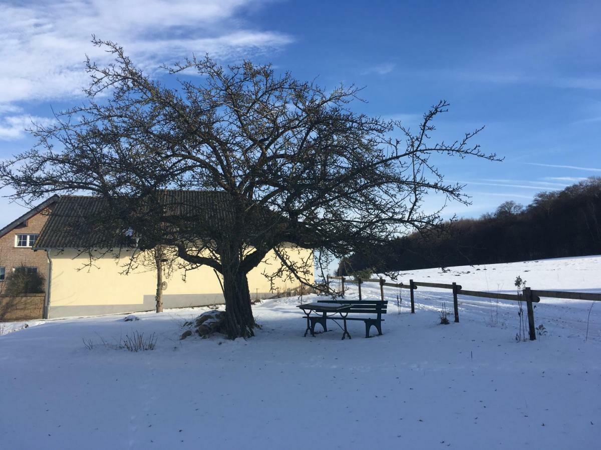 Ferienhaus Vulkaneifel Landhaus Loogh Kerpen  Exteriér fotografie